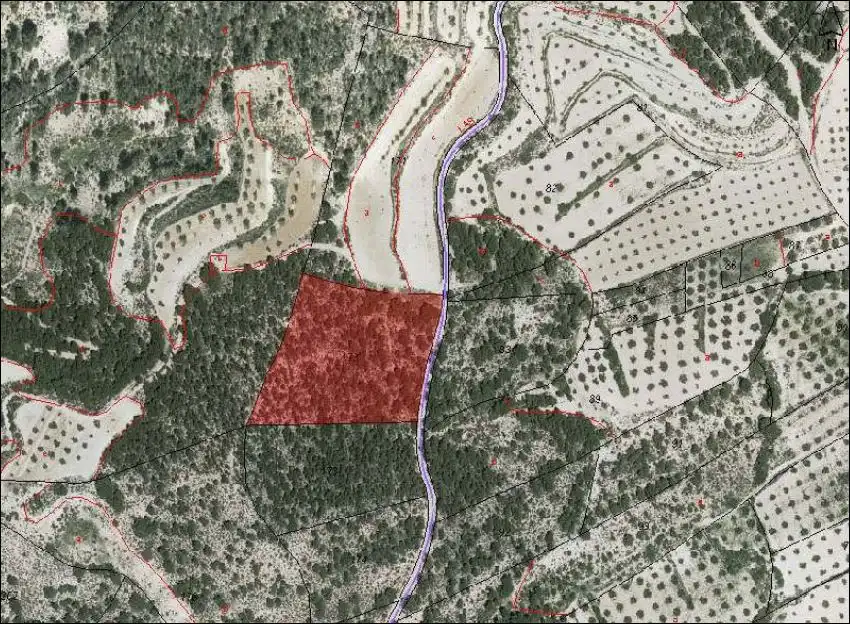 Rustikales Grundstück zum Verkauf in PARAJE LOS HERMANILLOS Nº .