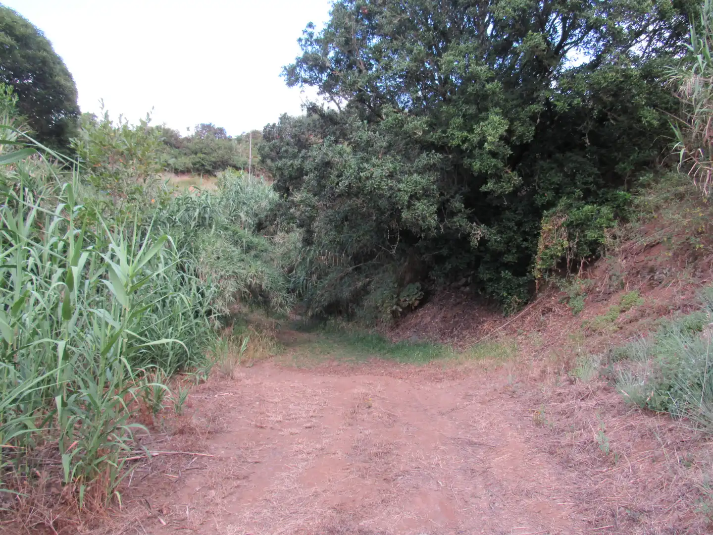Land for sale in Moya (Las Palmas)
