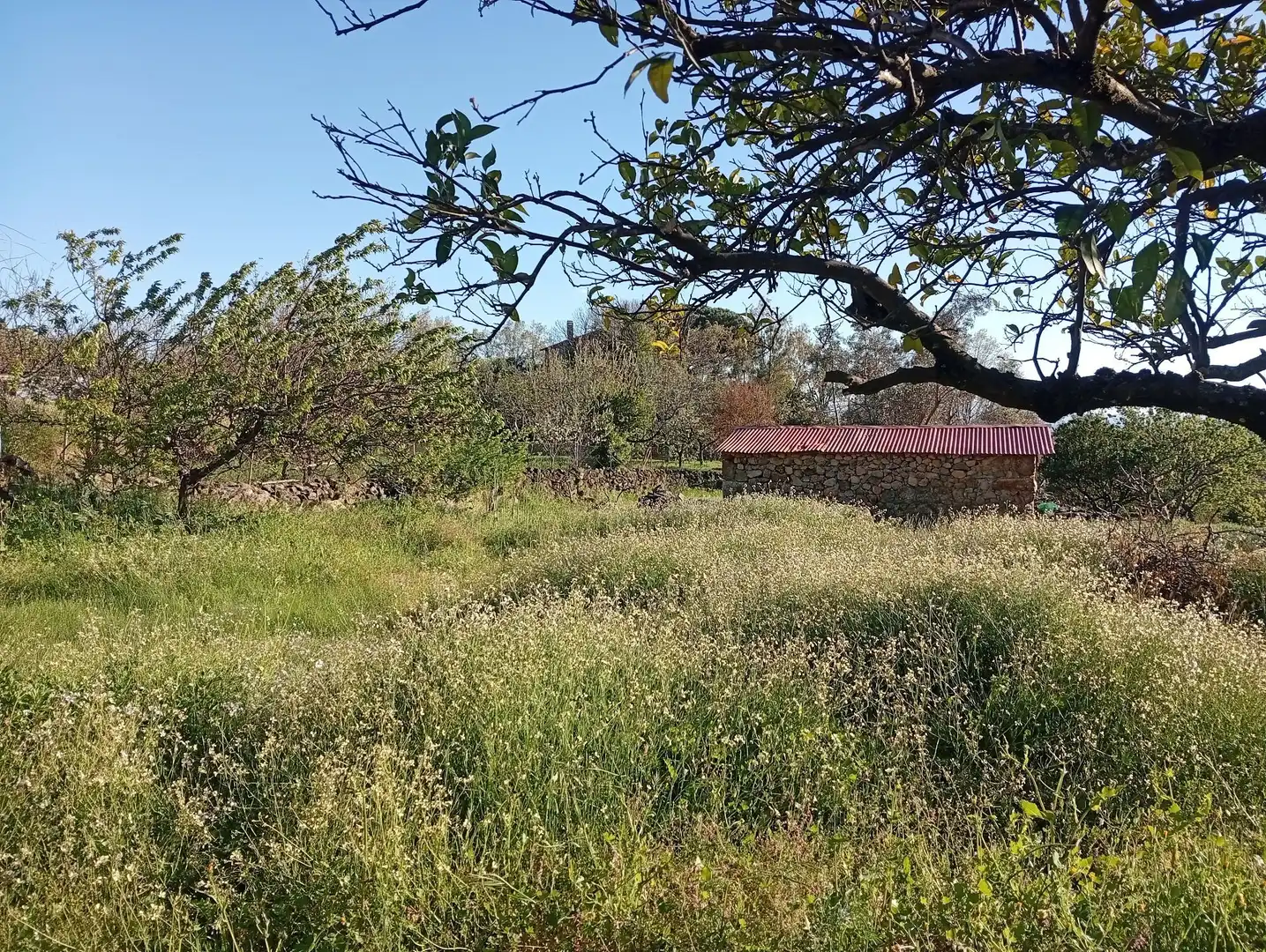 Terreno en venta en Valverde de la Vera