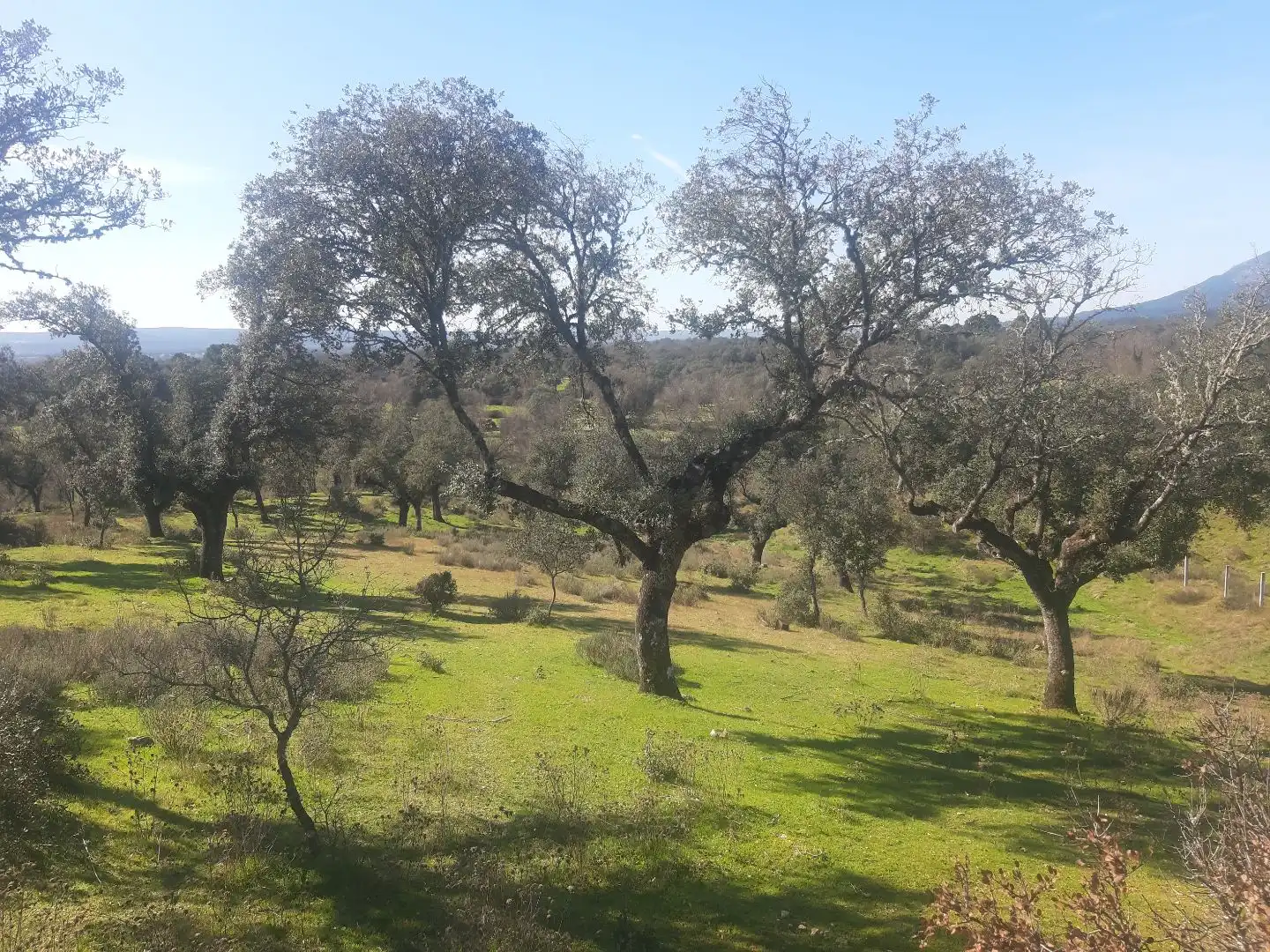 Terreno en venta en Mijares