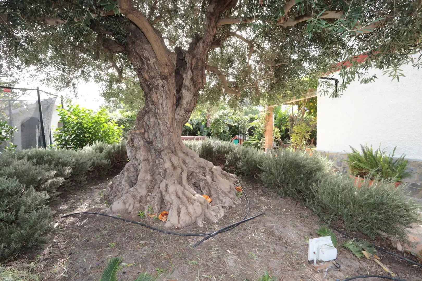 Xalet amb jardí en venda a Avenida PORTUS, DEL - TENTEGORRA, imagen 13