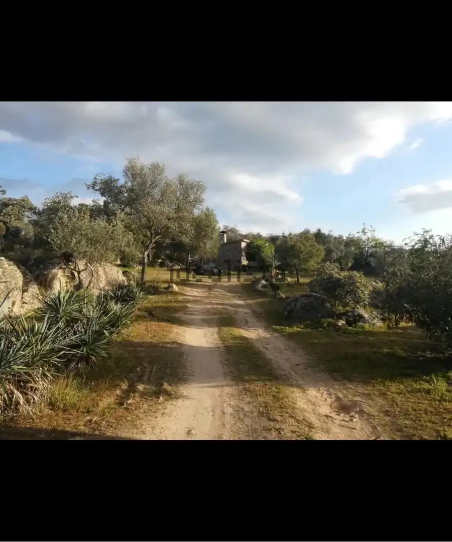 Vista exterior de Finca rústica en venda en Villar del Rey