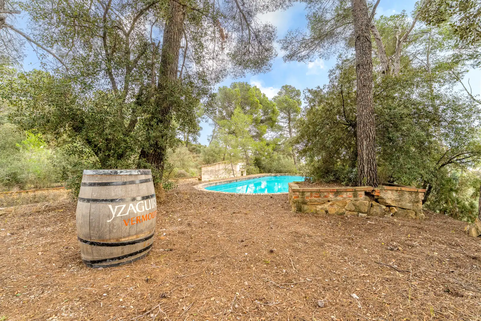 Piscina de Finca rústica en venda en Les Borges del Camp amb Jardí privat, Terrassa i Traster