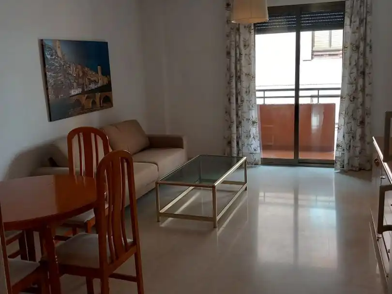 Sala d'estar de Apartament de lloguer en Ensanche - Franciscanos