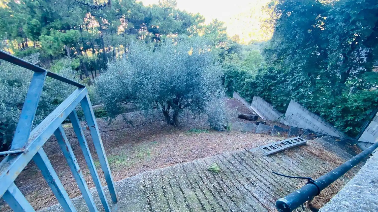 Jardín de Casa o chalet en venta en Eslida con Terraza y Trastero