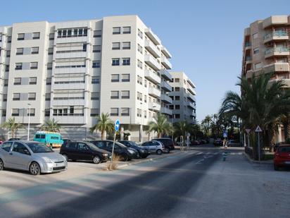 Vista exterior de Casa o xalet en venda en Elche / Elx amb Aire condicionat, Jardí privat i Terrassa