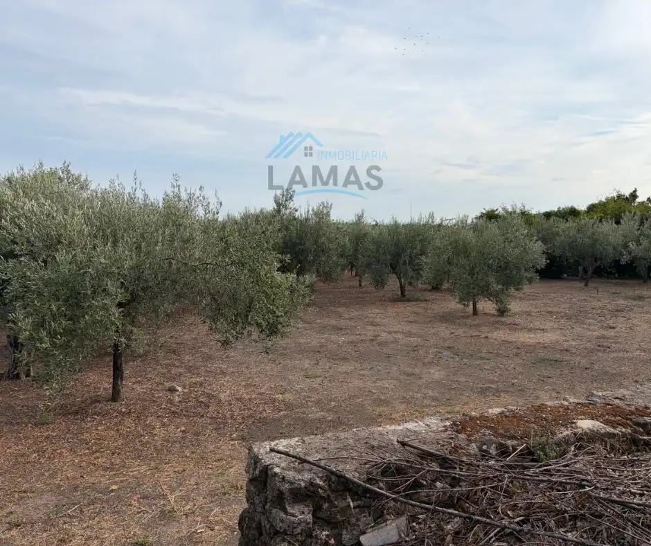 Terreno rústico en venta en Jarandilla de la Vera, imagen 25