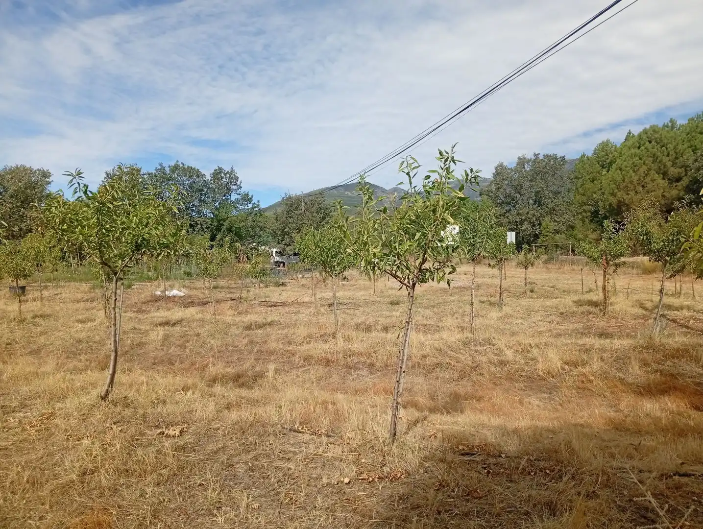 Terrain rustique à vendre à Villanueva de la Vera, imagen 34