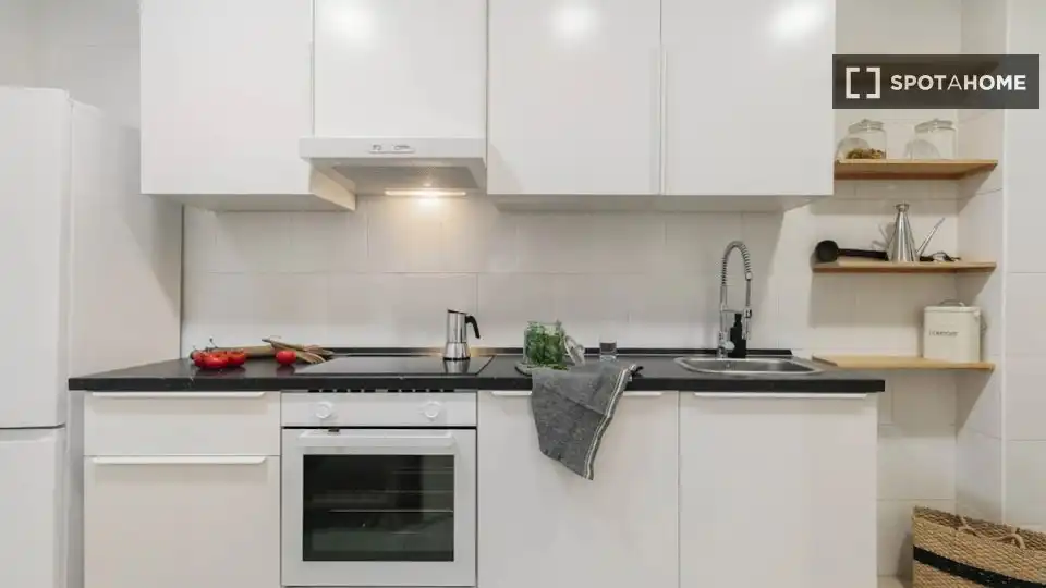 Cuina de Apartament per a compartir en Barcelona amb Aire condicionat, Terrassa i Moblat