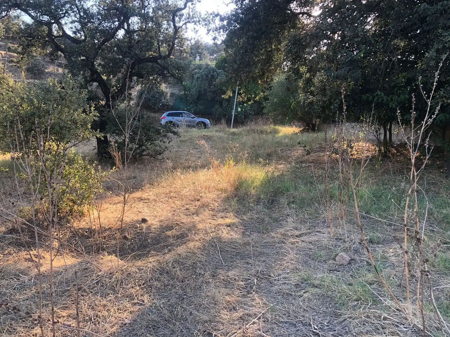 Wohnbaugrundstück zum Verkauf in Avenida de los Encinares 48, imagen 9