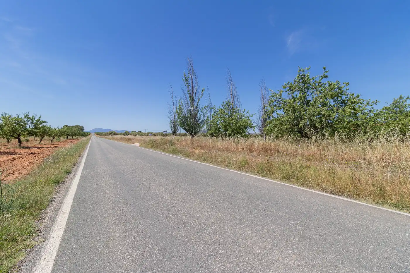 Finca rústica en venda en Mula