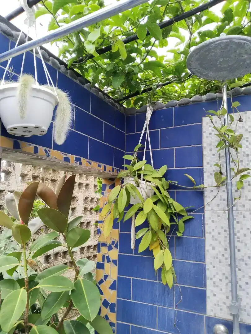 Terrassa de Finca rústica en venda en Garachico amb Jardí privat, Traster i Piscina