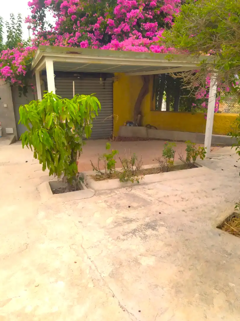 Casa o xalet en venda en Murcia amb Jardí privat