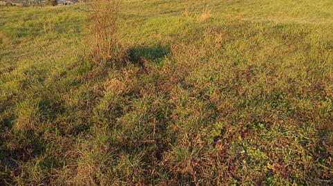 Photo 3 of Residential for sale in Gorraiz - Itaroa 33 Gorraiz, Olaz, Navarra