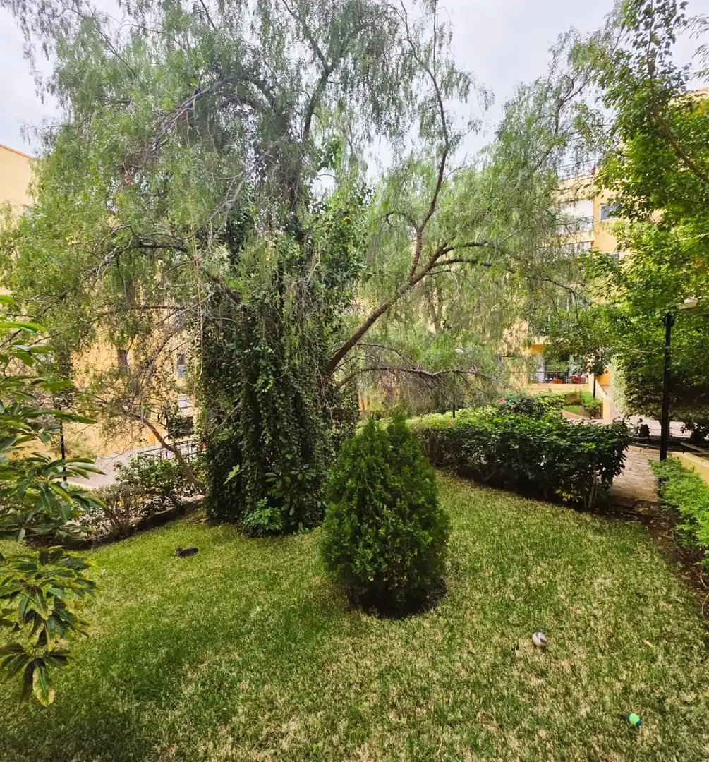 Garten von Wohnungen zum Verkauf in Arona mit Privatgarten, Terrasse und Alarm