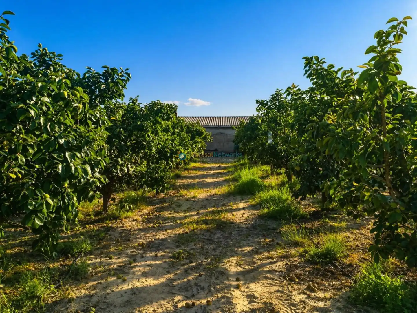 Finca rústica en venta en Albaida con Jardín privado y Trastero