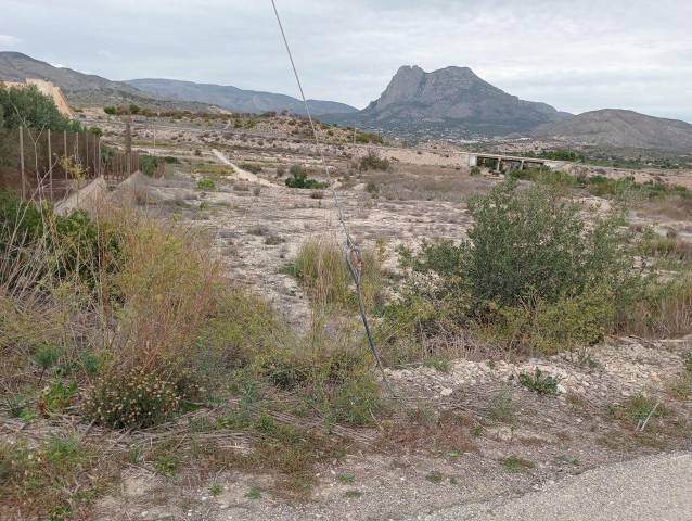 Terreno en Venta en Partida Palmisar en El Secanet - Hacienda del Sol