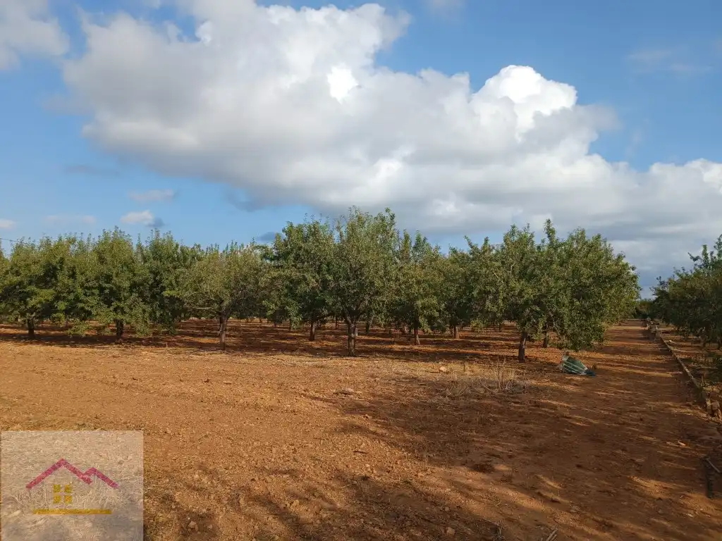 Finca rústica en venda a Calle Oropesa, 14, Torreblanca