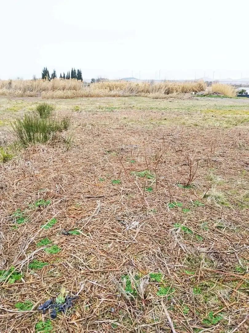 Terreno en venta en Fontellas
