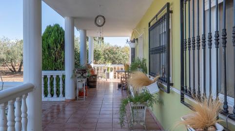 Foto 5 de Casa o xalet en venda a Calle 18370, Moraleda de Zafayona, Granada