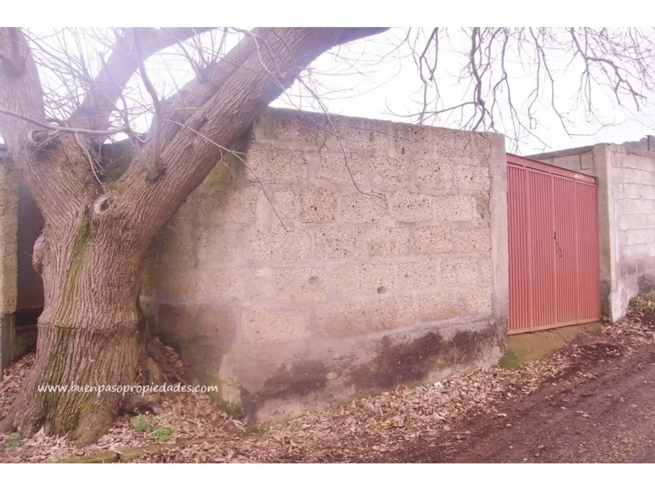 Finca rústica en venta en El Sauzal con Jardín privado