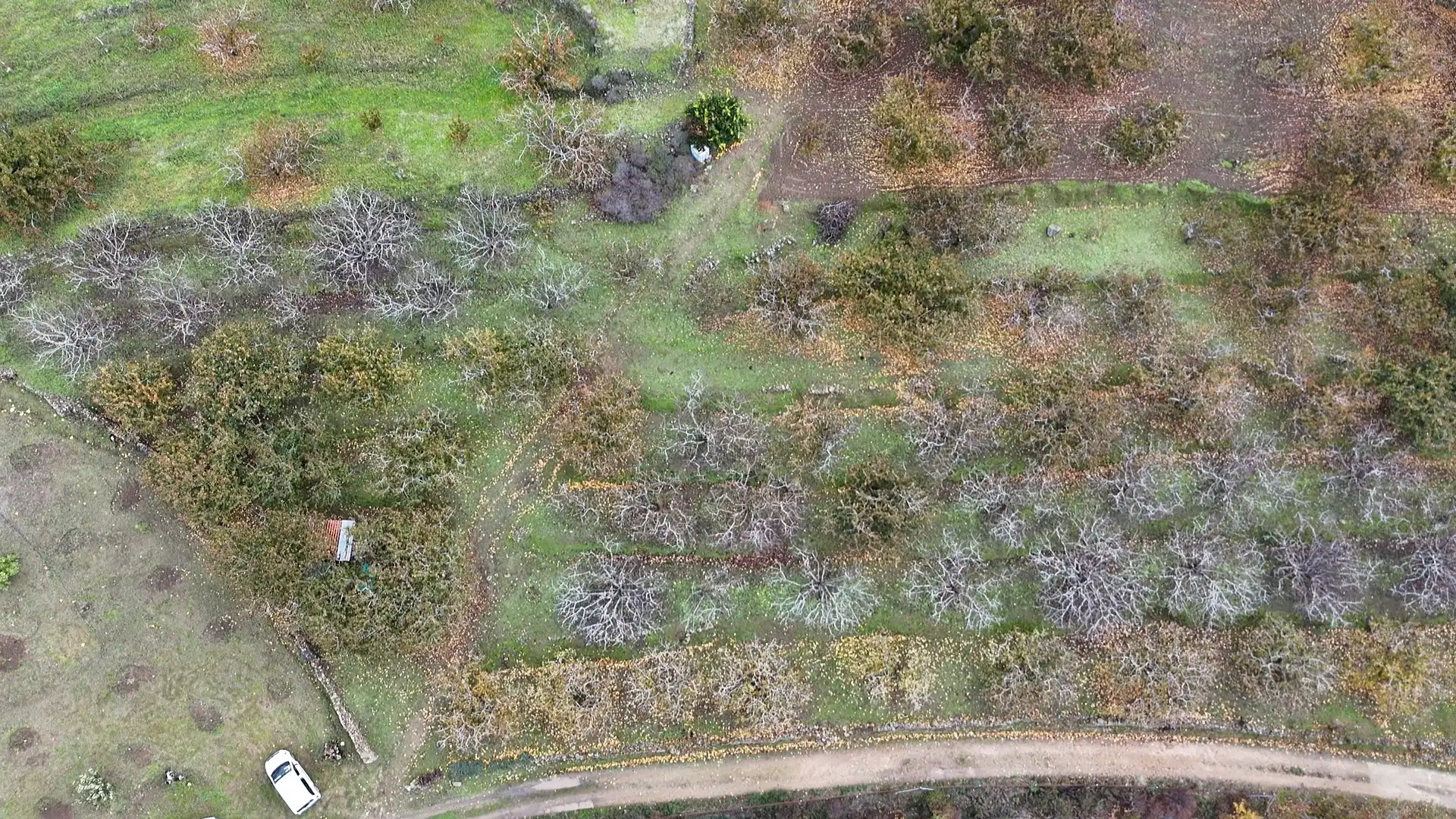 Terreni e lotti in vendita a Pasarón de la Vera, imagen 3