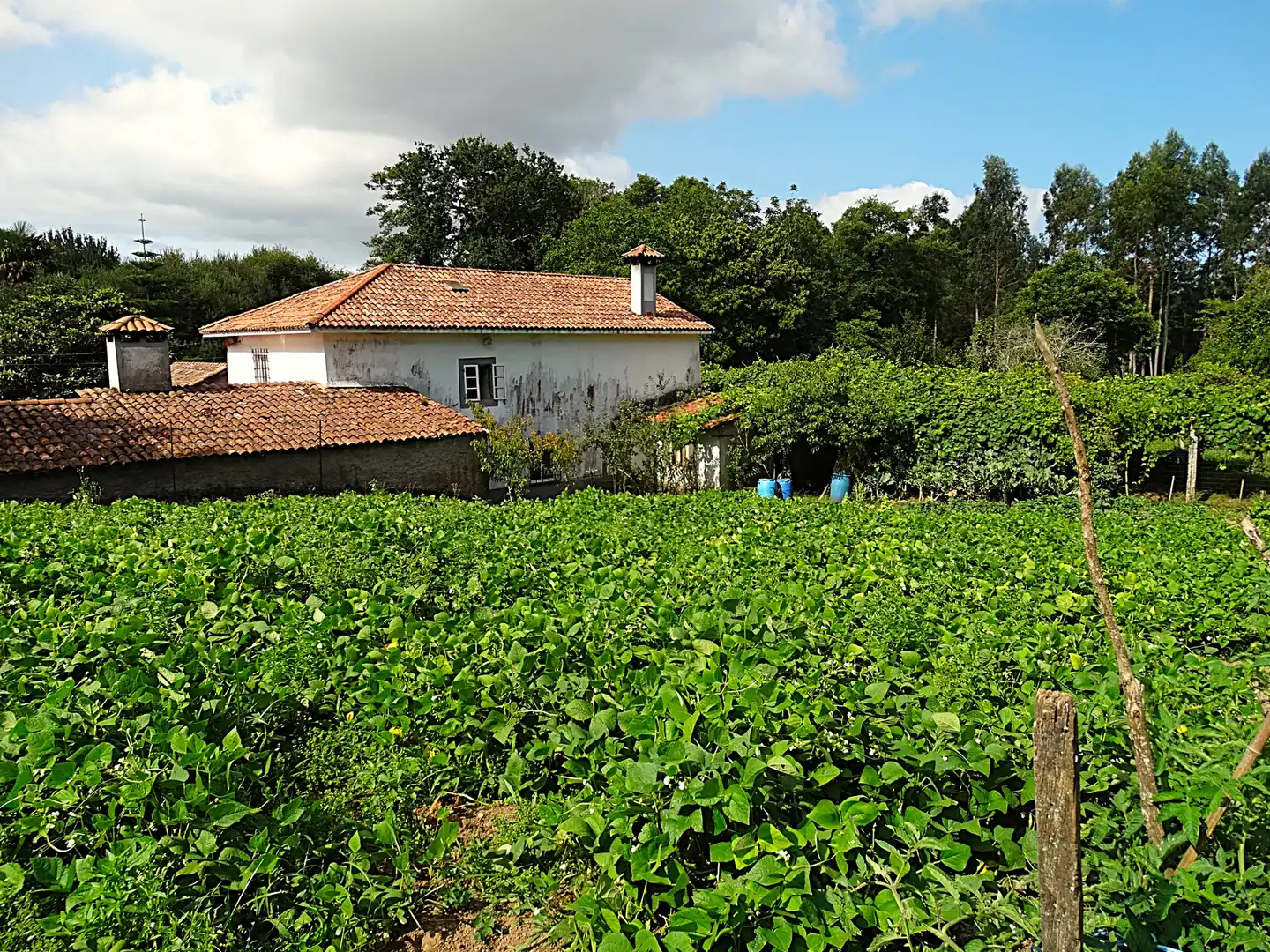 Finca rústica en venda en Narón amb Calefacció, Jardí privat i Parquet