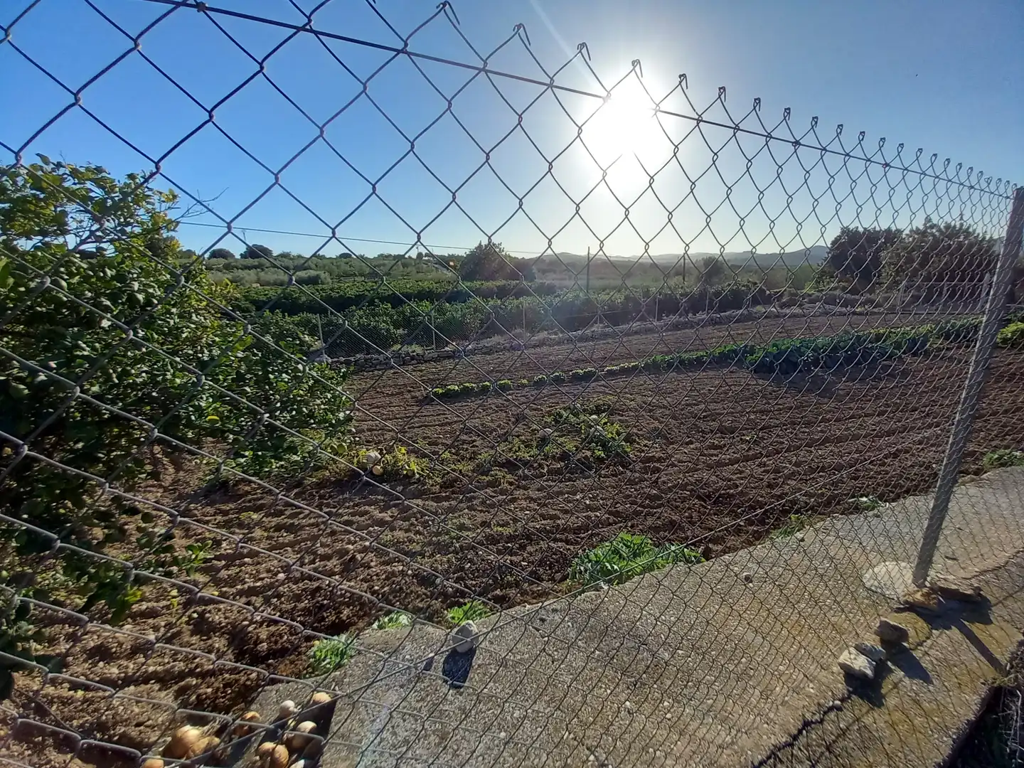Grundstücke zum Verkauf in Càlig