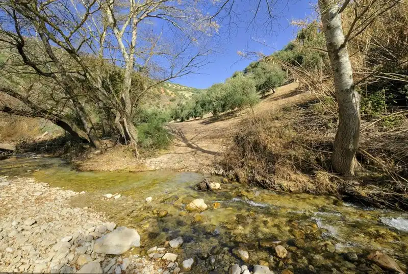 Terreno rústico en venta en Algarinejo, imagen 5