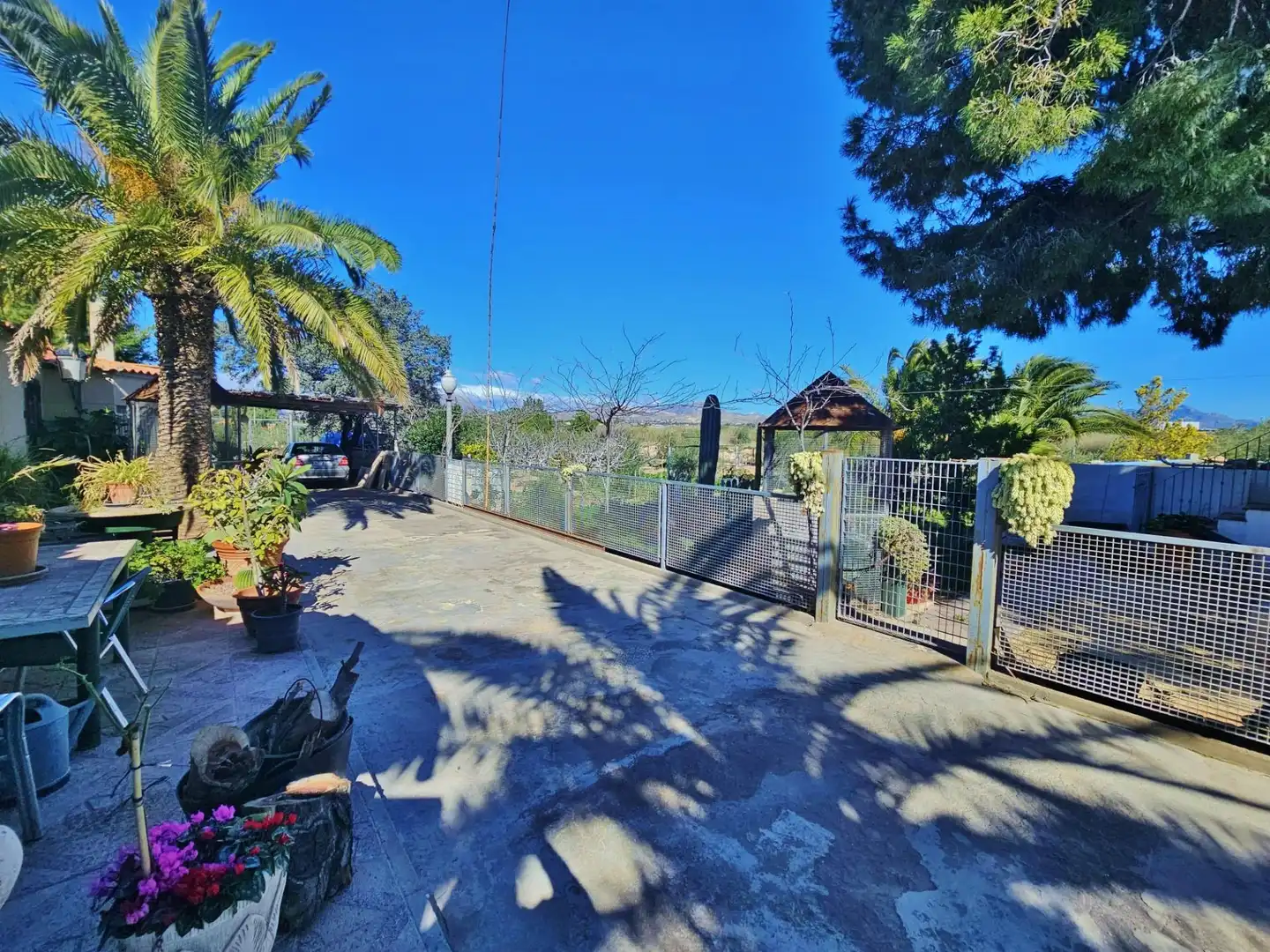 Vista exterior de Finca rústica en venta en Alicante / Alacant