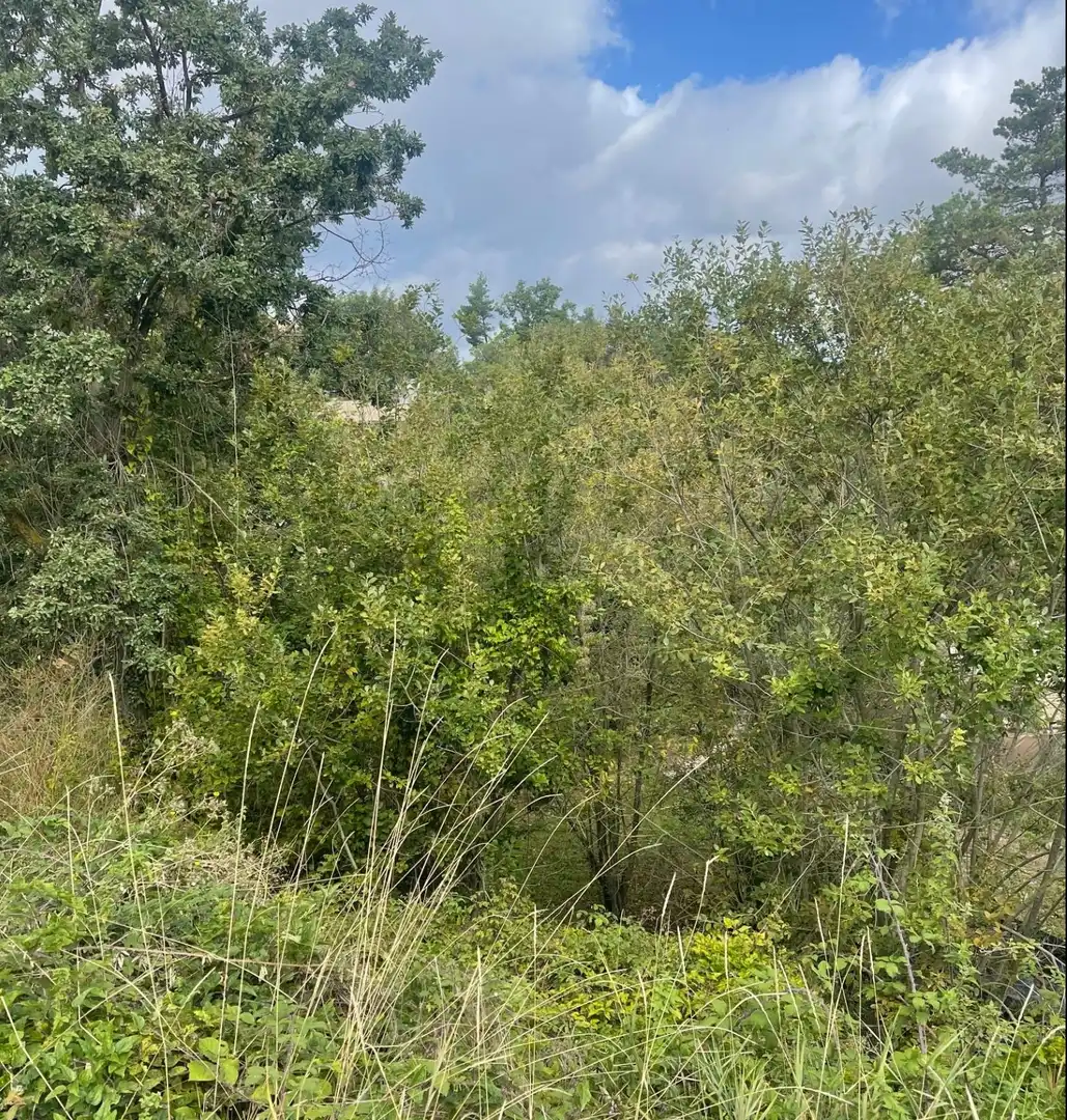 Residential land for sale in Muntanyola, imagen 4