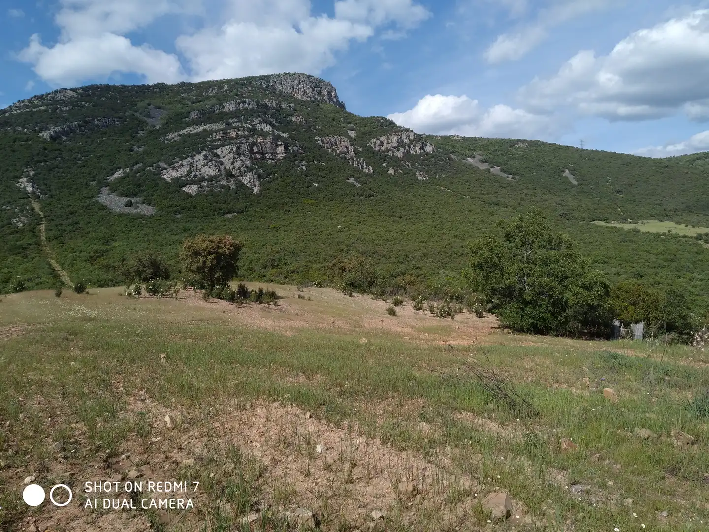 Rural land for sale in Fuencaliente, imagen 2