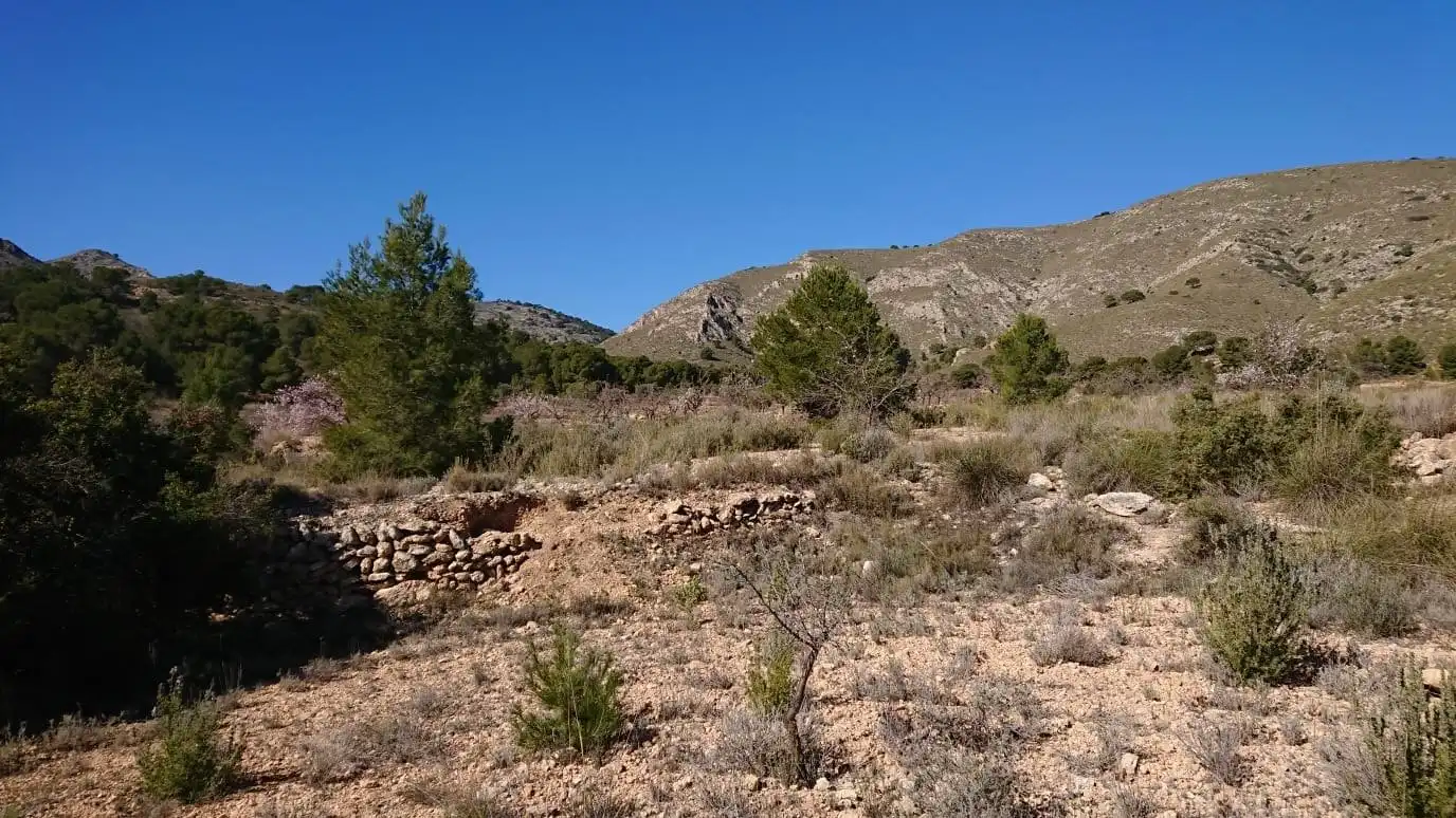 Residential for sale in Totana