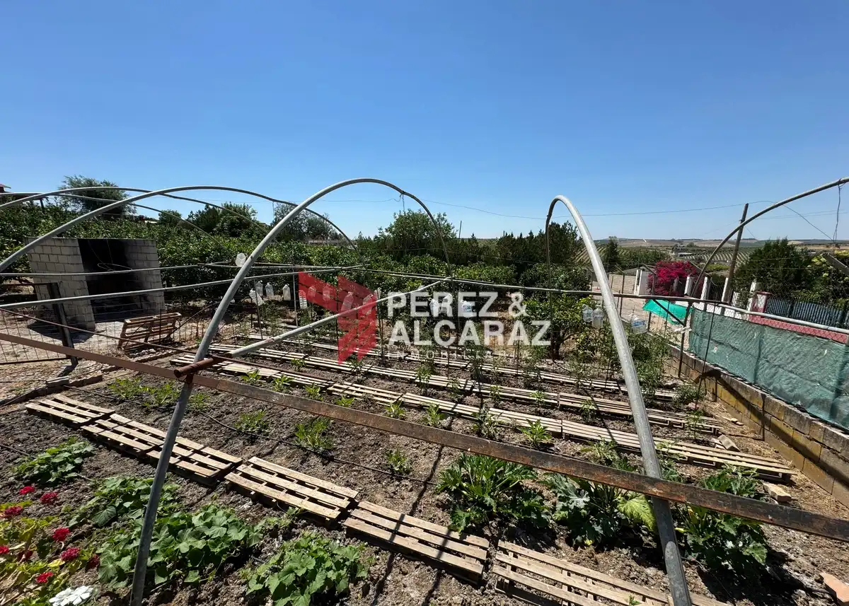 Terreno rústico en venta en Calle Chalets la Algaba 4, imagen 3