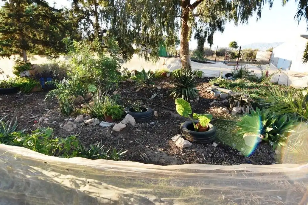 Jardín de Finca rústica en venta en Fuente Álamo de Murcia con Jardín privado, Terraza y Trastero