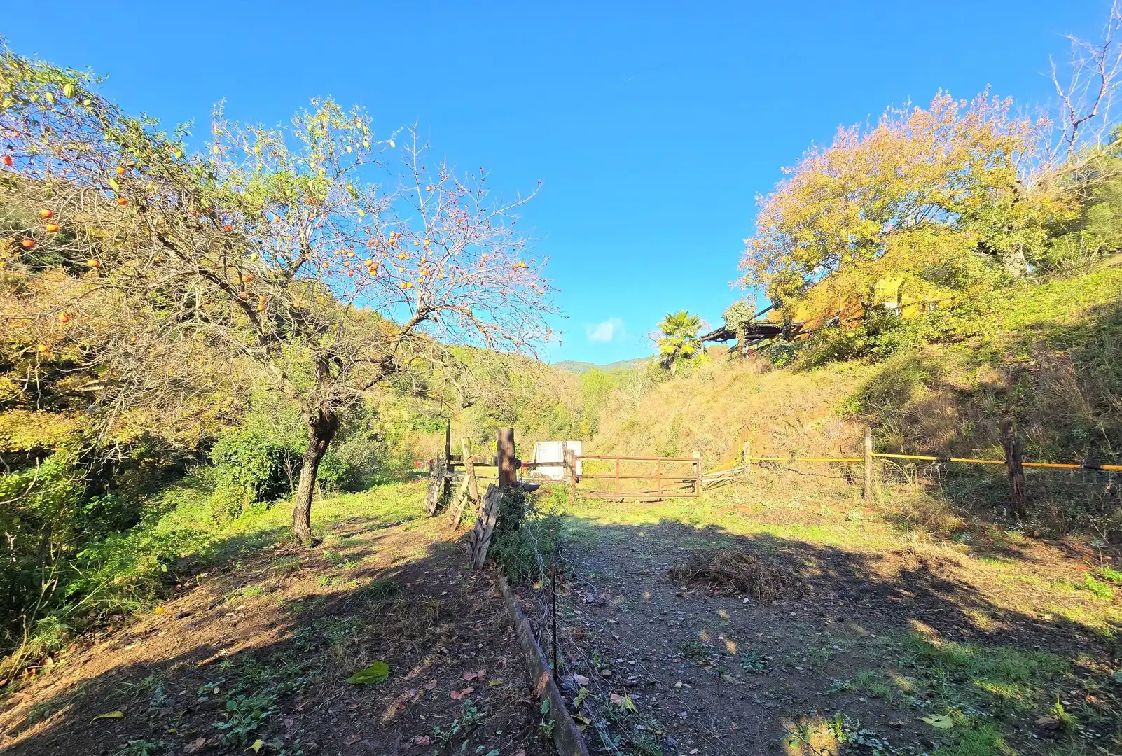 Jardí de Casa o xalet en venda en La Selva del Camp amb Jardí privat, Terrassa i Traster