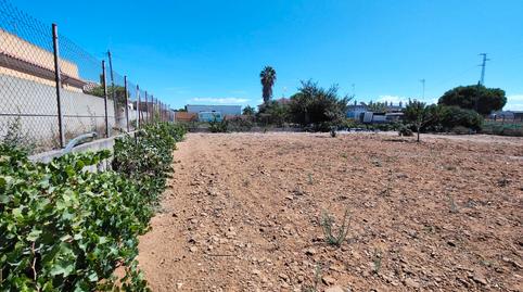 Foto 4 de Finca rústica en venda a La Jara, Sanlúcar de Barrameda