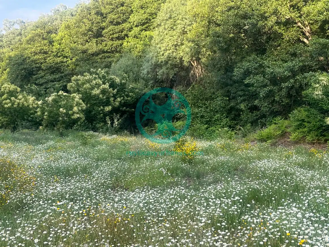 Terreni e lotti in vendita a Garganta la Olla, imagen 19