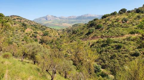 Foto 5 de Finca rústica en venda a Alegría de la Huerta- Jardín de Málaga, Málaga