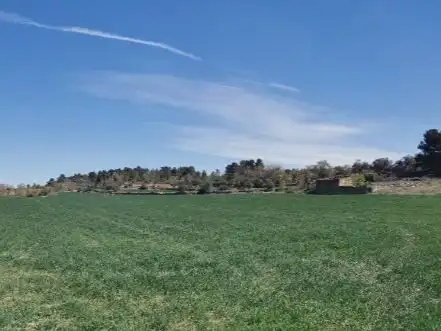 Rural land for sale in Carretera Albí 39, imagen 2