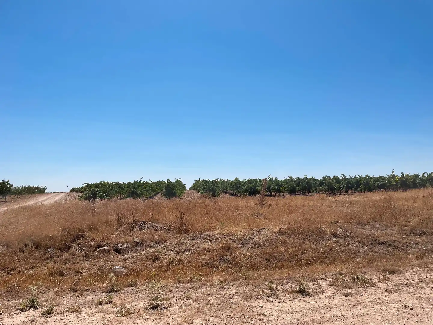 Terreni e lotti in vendita a Las Mesas, imagen 9