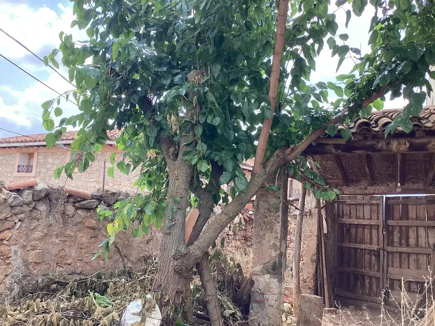 Casa o xalet en venda en Alfambra amb Balcó
