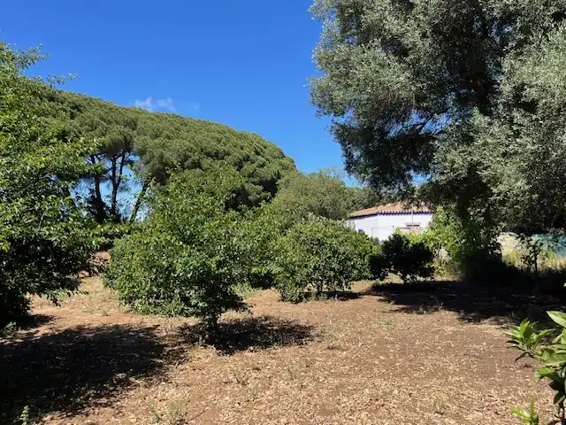 Finca rústica en venta en Vejer de la Frontera