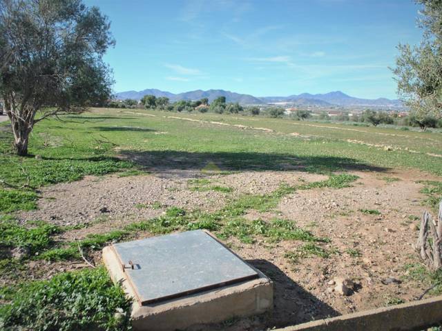 Terreno residencial en Venta en Carril del Pino en Tercia