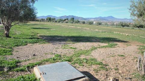 Photo 3 of Residential for sale in Carril del Pino, -1, Tercia, Murcia