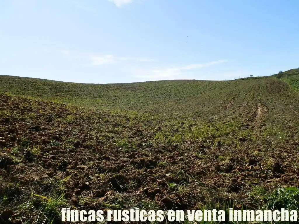 Terreno rustico in vendita a Casco Histórico, imagen 17