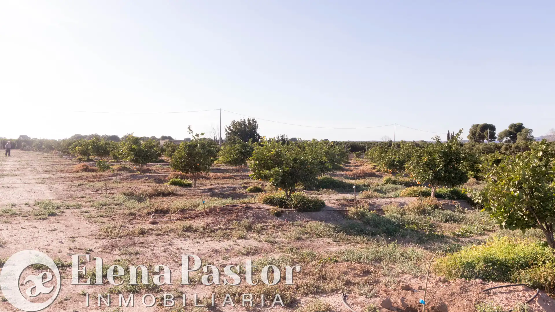 Terreno en venta en Bétera