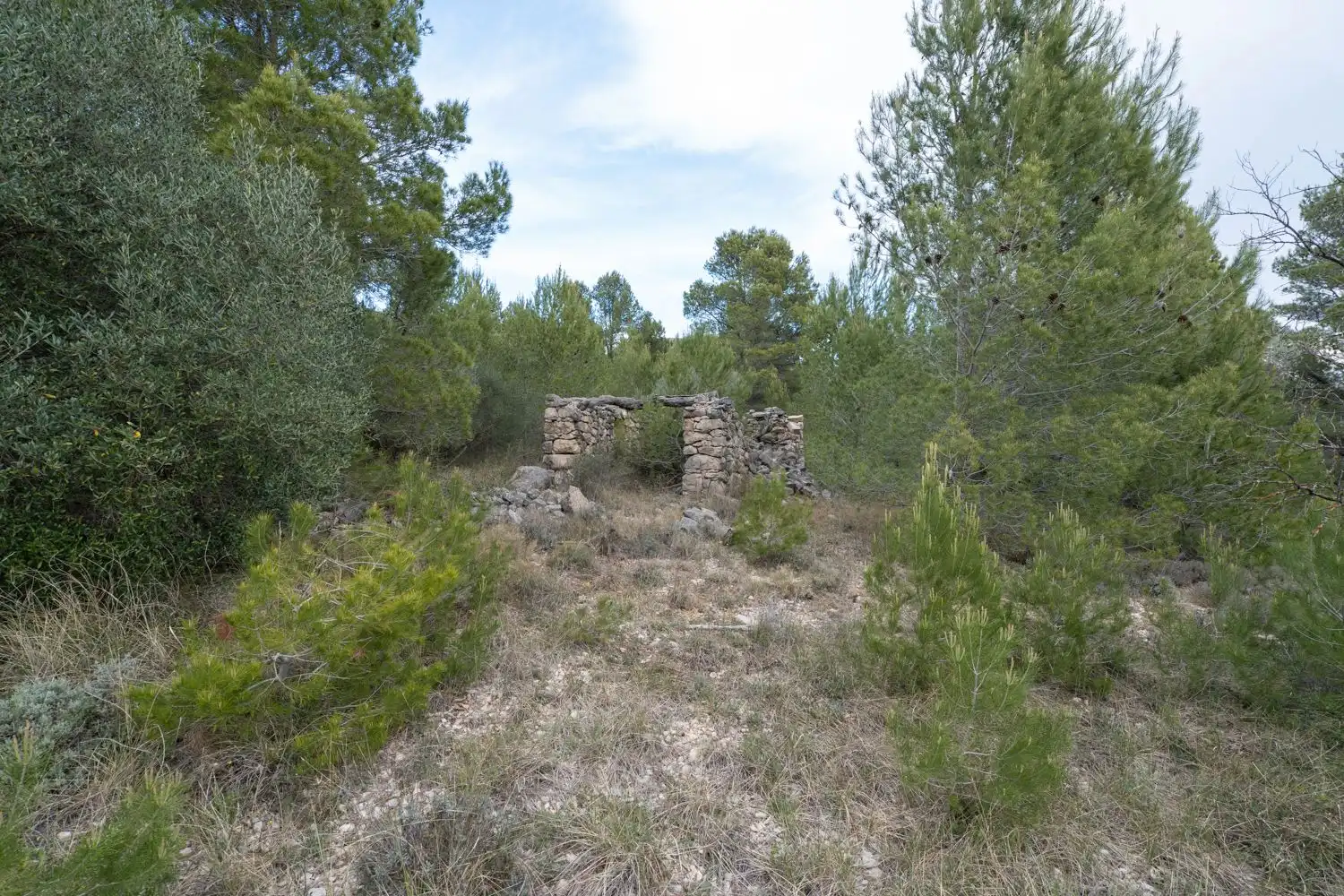Grundstücke zum Verkauf in Canet lo Roig