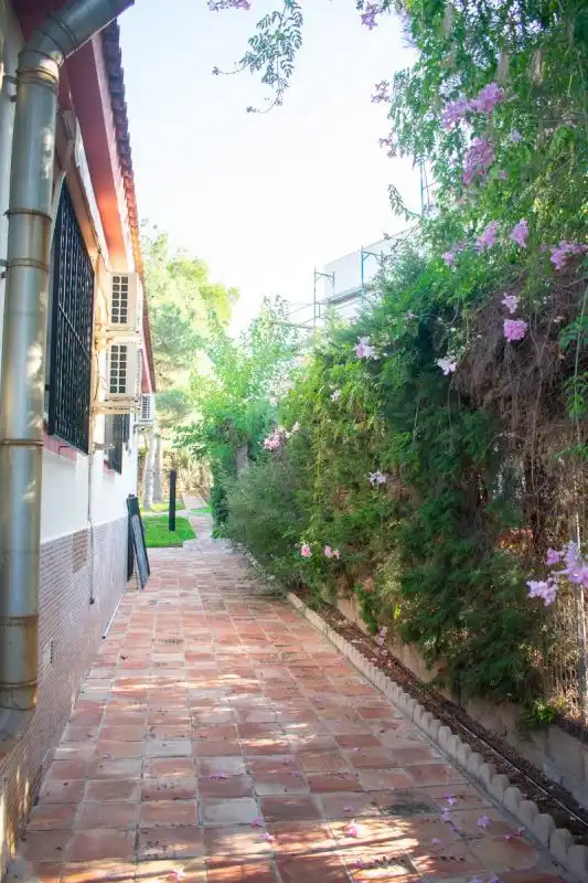 Xalet amb piscina en venda a Calle Coto-Romeros 6, imagen 49