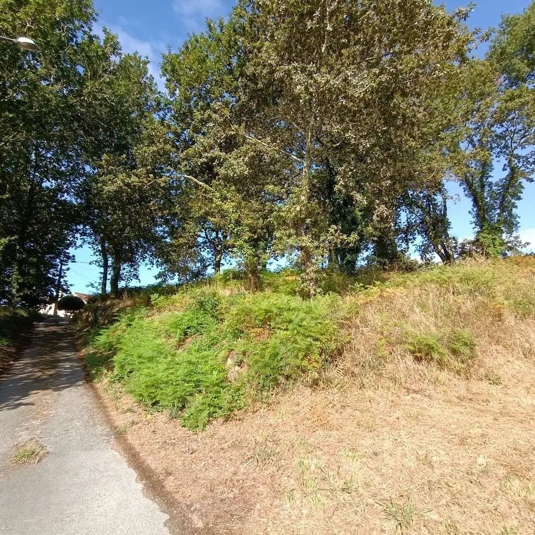 Residential zum Verkauf in Barro